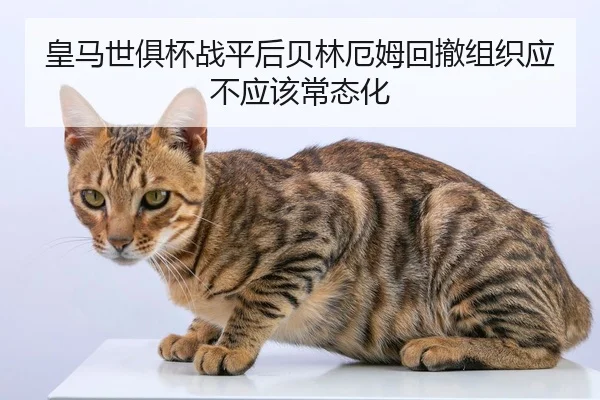 皇马世俱杯战平后贝林厄姆回撤组织应不应该常态化