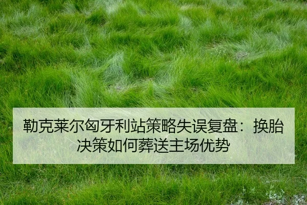 lei-ke-lai-er-xiong-ya-li-zhan-ce-lve-shi-wu-fu-pan-huan-tai-jue-ce-ru-he-zang-song-zhu-chang-you-shi-2-683.jpg
